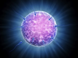 ¿Deberíamos pasar directamente a donación de óvulos?