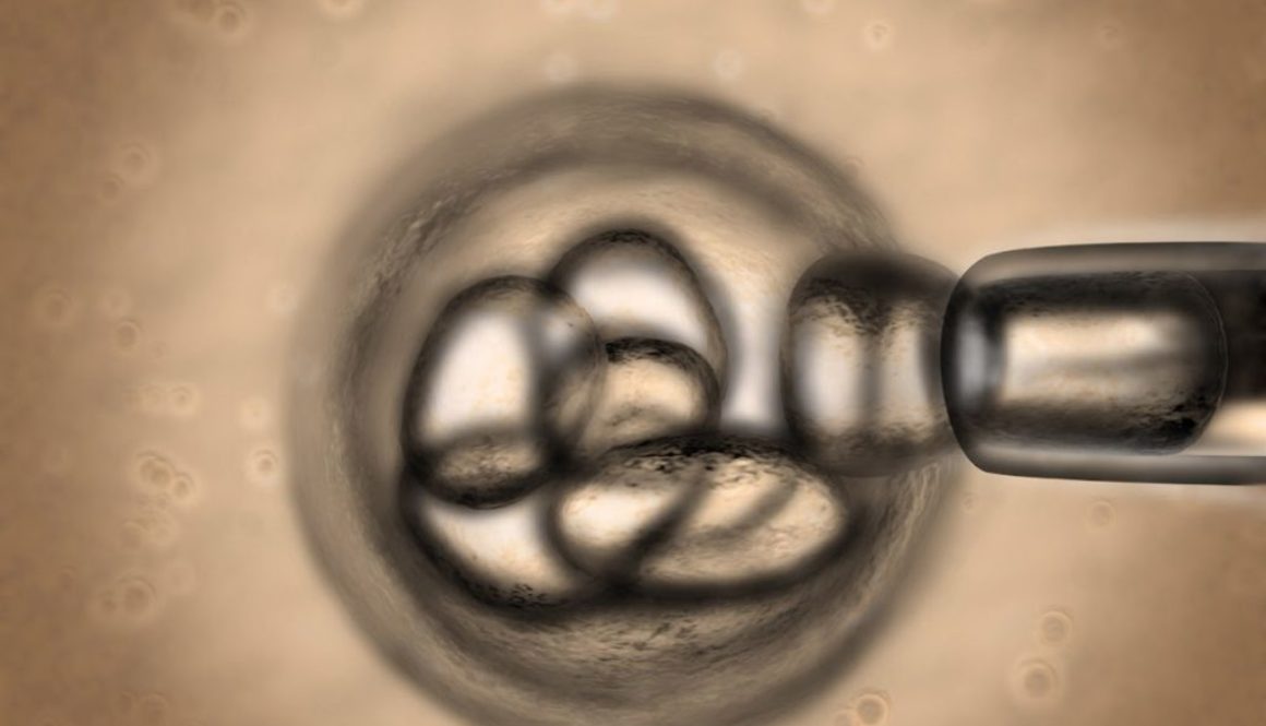 200 investigadores y juristas piden no financiar proyectos que impliquen la destrucción de embriones humanos