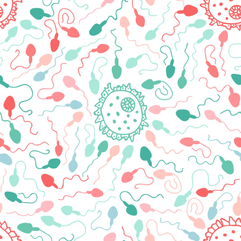 La clínica madrileña Ginefiv es elegida como centro piloto para el registro nacional de donantes de semen y óvulos