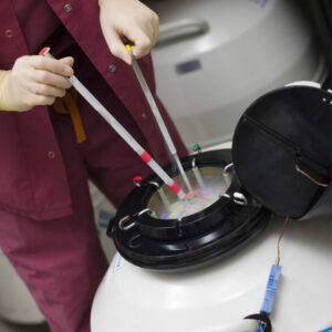 230.000 embriones sobrantes de la fecundación asistida esperan destino