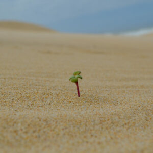 «El cáncer, la infertilidad, la diabetes o el alzhéimer son producto de esta sociedad»