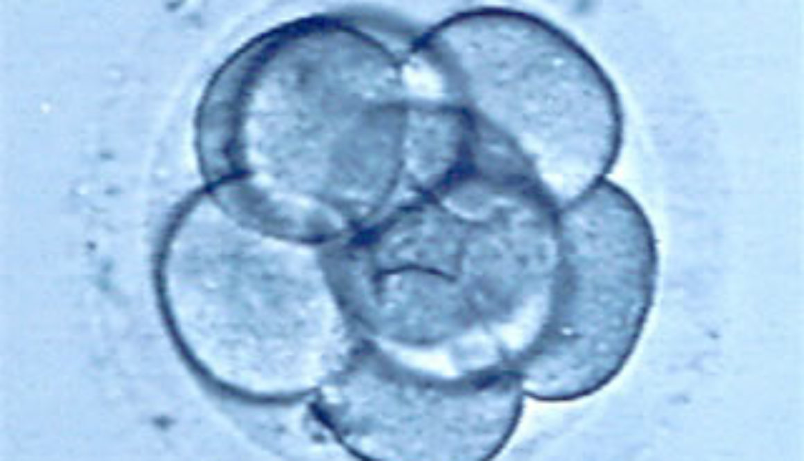 Adopción de embriones en Neoginfer
