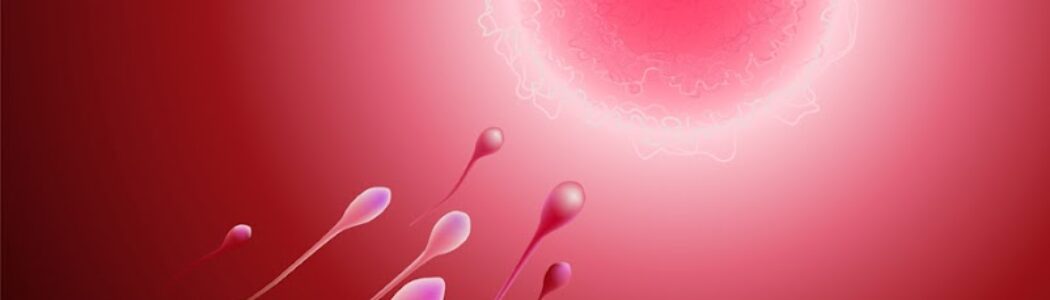 Asocian fecundación in vitro en mujeres jóvenes con cáncer de mama