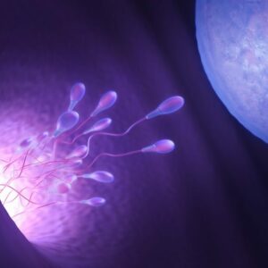 Aumentan las donaciones de semen y óvulos en Aragón