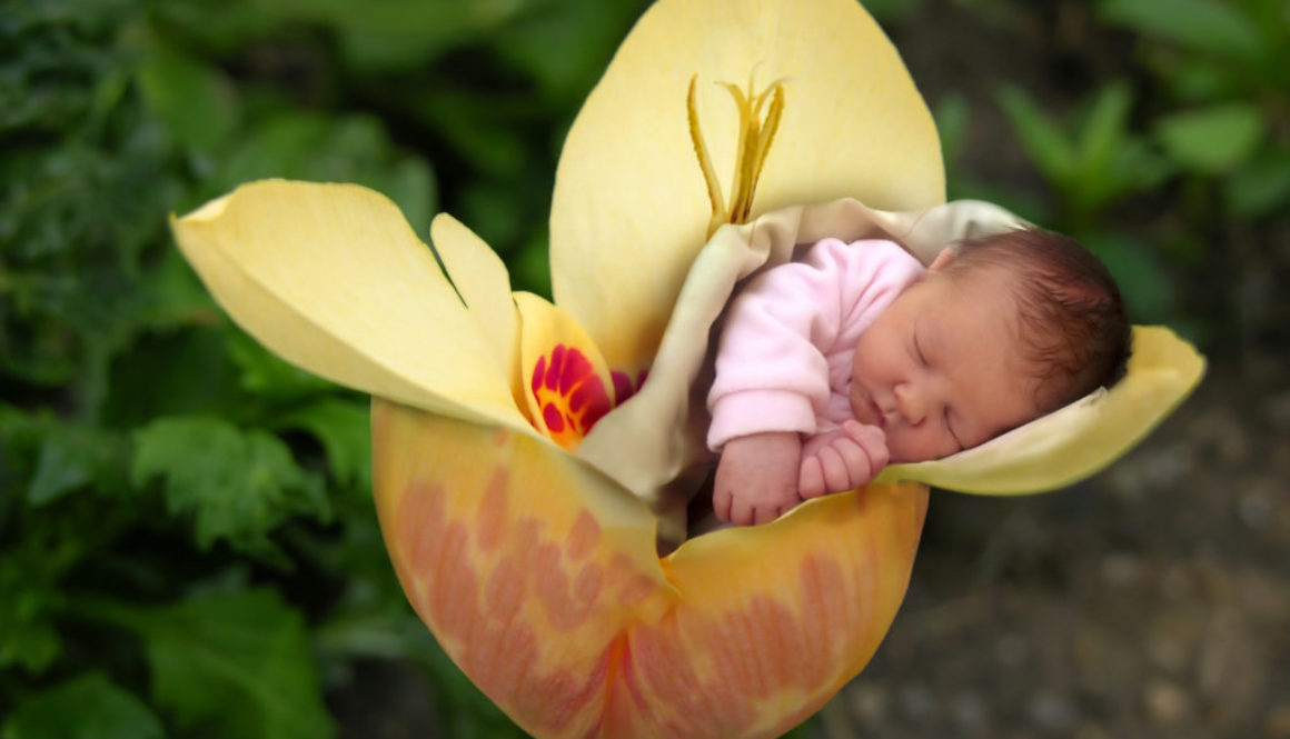 Bebés que nacen por terapias de fertilidad "serían más pequeños"