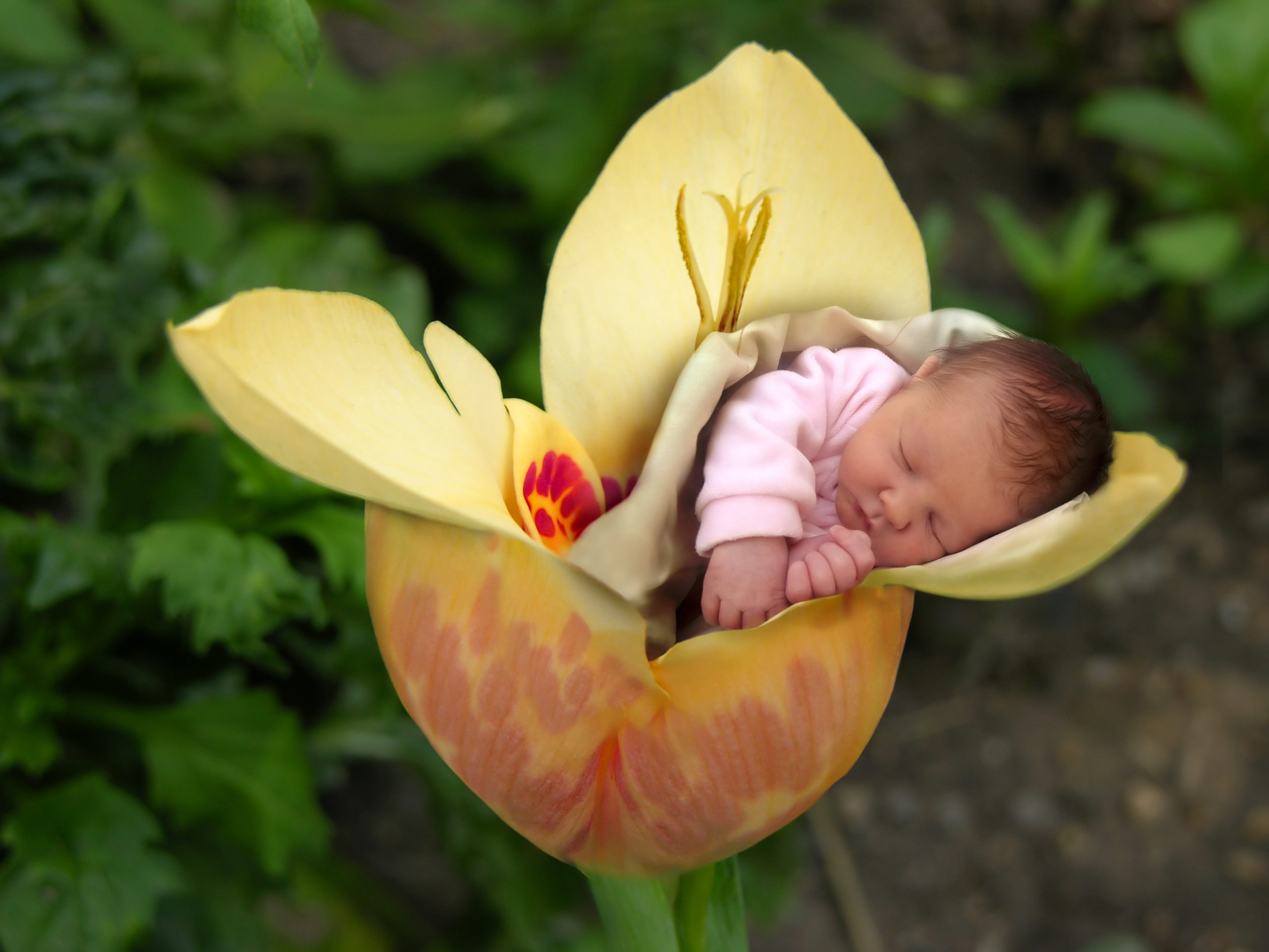 Bebés que nacen por terapias de fertilidad “serían más pequeños”