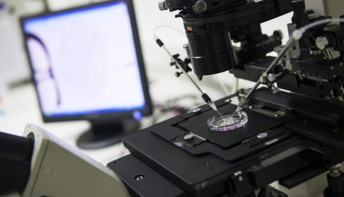 Biólogos cuidadores de embriones