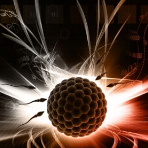 BigH1, la proteína esencial para la fertilidad masculina