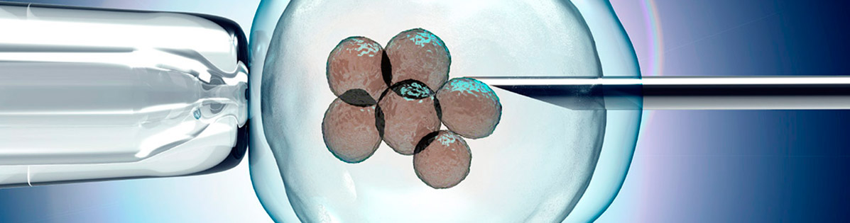Biopsia del embrión para DGP