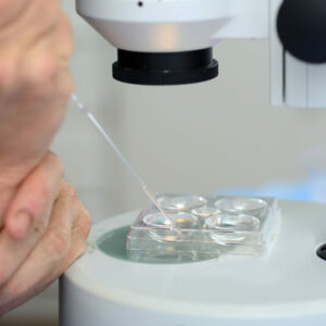 «La investigación en genética está ampliando las posibilidades terapéuticas en el área de la infertilidad»