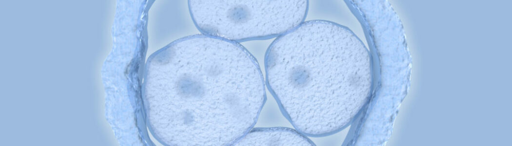 ¿Cómo se sabe la calidad de los embriones en un proceso de reproducción asistida?
