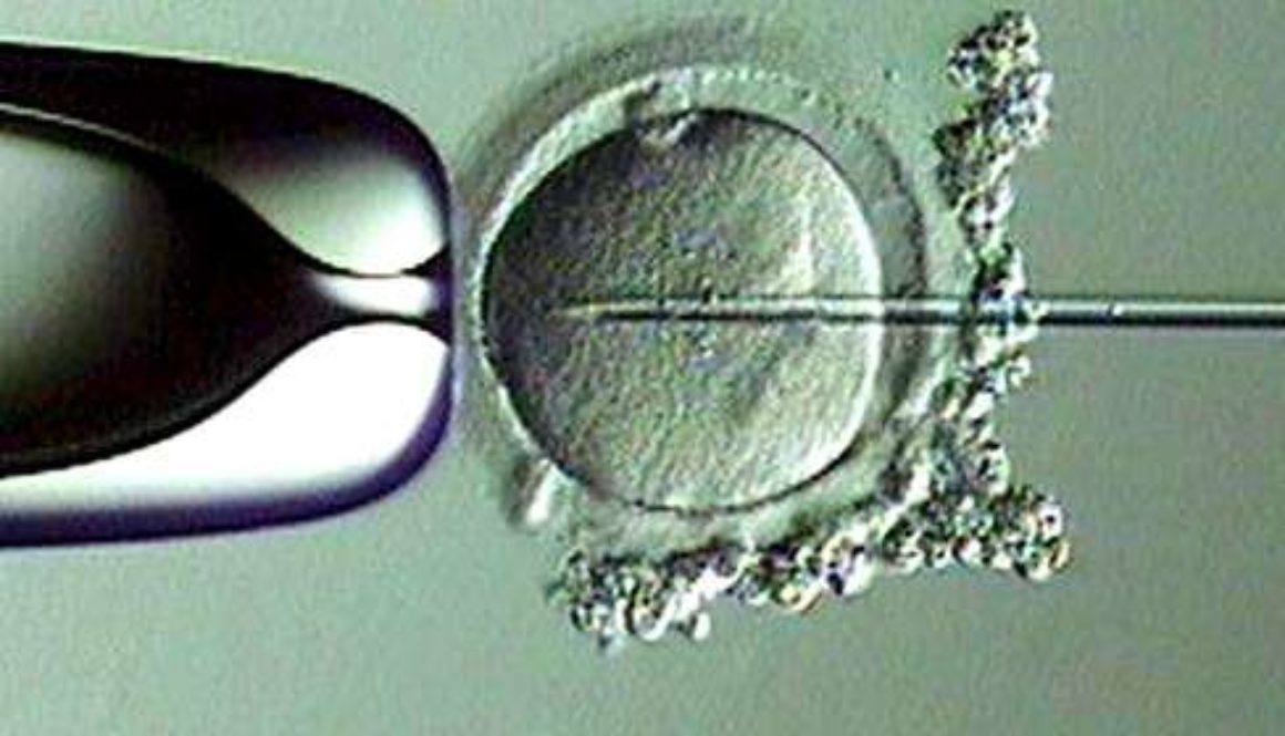 ¿Conoces la técnica de fecundación in vitro (FIV) con microinyección espermática?