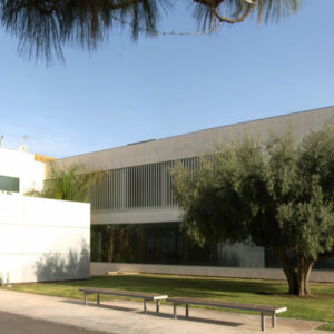 ¿Conoces todos los proyectos sociales de la Fundación Rafael Bernabeu?