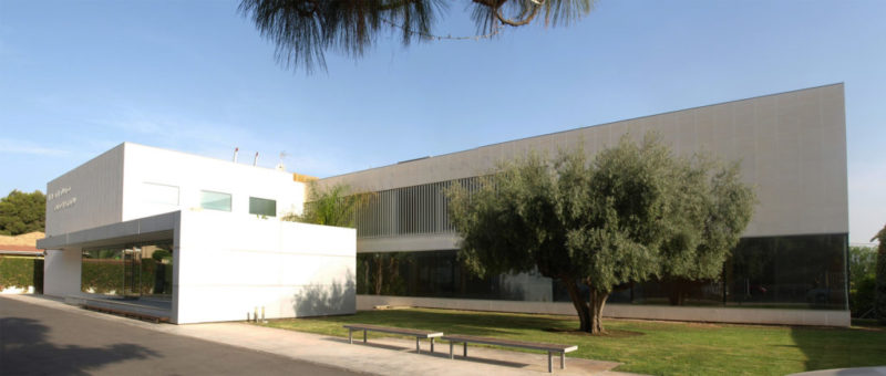 ¿Conoces todos los proyectos sociales de la Fundación Rafael Bernabeu?