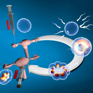¿Cuáles son los síntomas característicos de la implantación embrionaria?