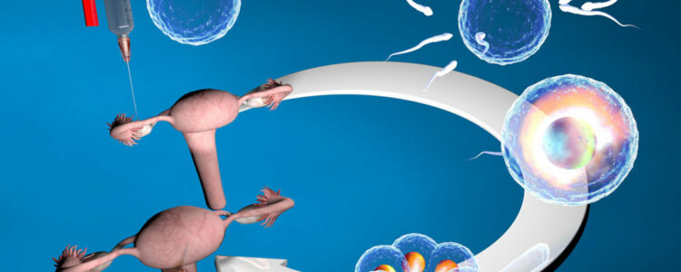 ¿Cuáles son los síntomas característicos de la implantación embrionaria?