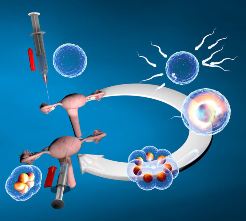 ¿Cuáles son los síntomas característicos de la implantación embrionaria?