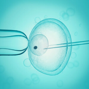¿Cuándo puedo conocer cuantos óvulos han fecundado?