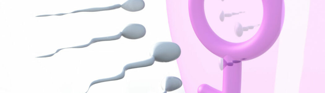 ¿Cuánto tiempo dura un espermatozoide vivo?