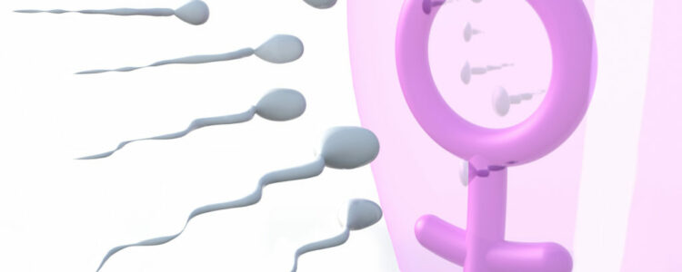 ¿Cuánto tiempo dura un espermatozoide vivo?