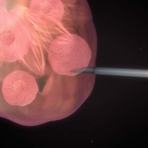 ¿En qué consiste la estimulación ovárica?