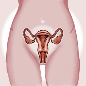 ¿Es eficaz el medio de cultivo EmbryoGlue® utilizado durante el desarrollo de los embriones?