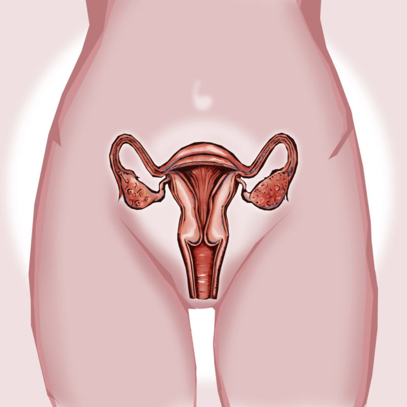 ¿Es eficaz el medio de cultivo EmbryoGlue® utilizado durante el desarrollo de los embriones?