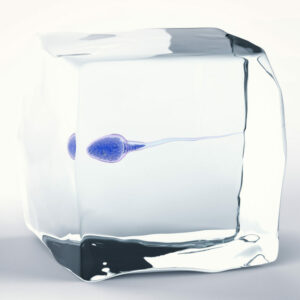 ¿Es el hombre fértil durante toda su vida?