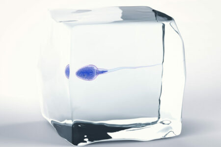 ¿Es el hombre fértil durante toda su vida?