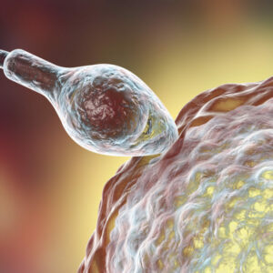 ¿Es el momento de empezar un tratamiento con óvulos donados?