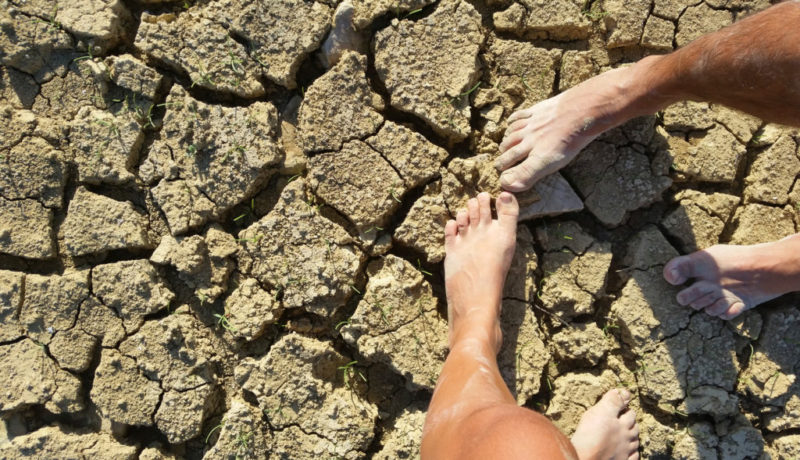 ¿Nacerán menos niños por el cambio climático?