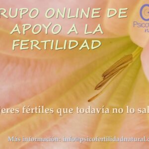 ¿Necesitas apoyo en este duro camino de la Infertilidad? Te propongo algo…