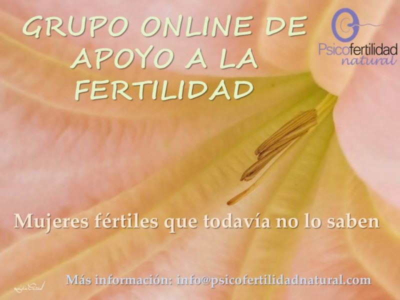 ¿Necesitas apoyo en este duro camino de la Infertilidad? Te propongo algo…