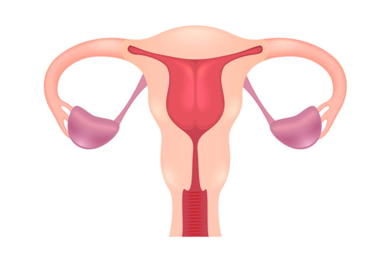 ¿Por qué ocurren las perdidas entre reglas?