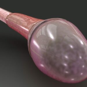 ¿Por qué un espermatozoide triunfa y los demás no?