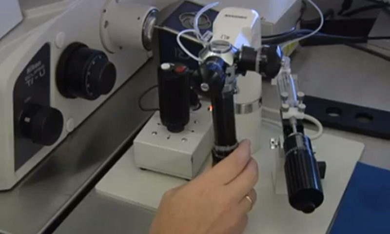 ¿Qué es el Diagnóstico Genético Preimplantacional?