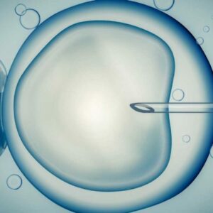 ¿Qué es el Hatching asistido?