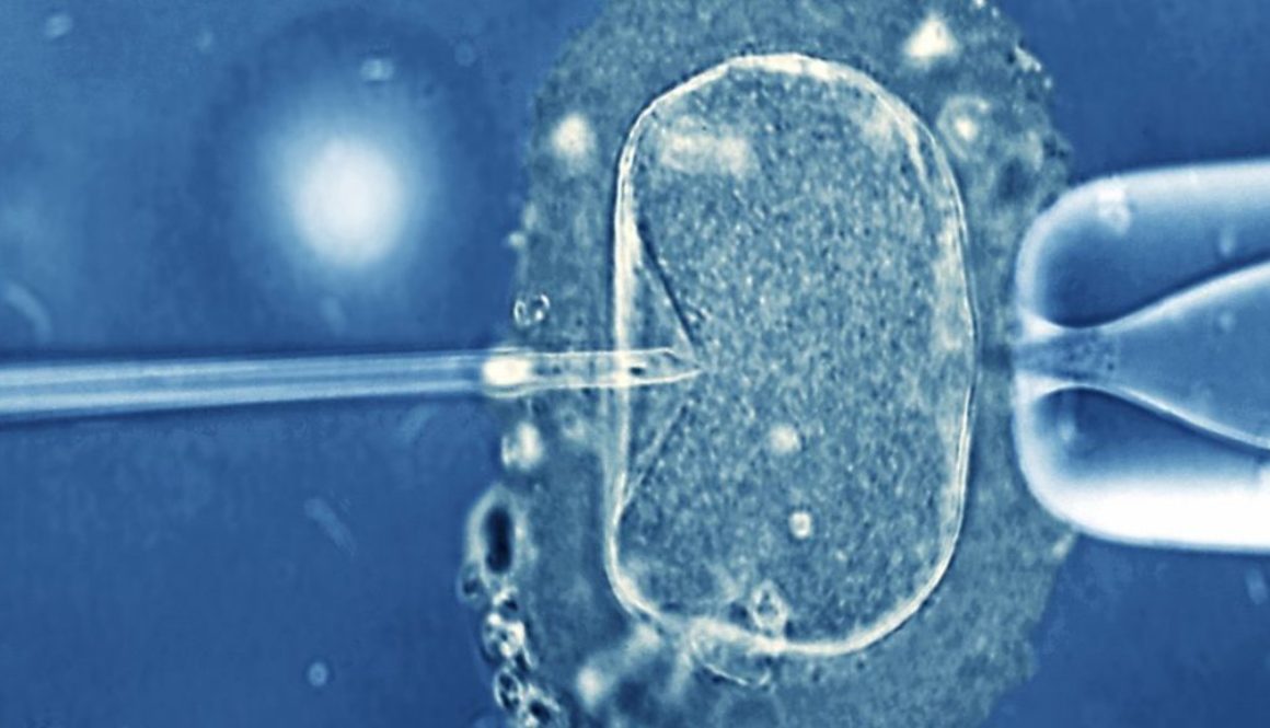 ¿Qué es el colapso embrionario? ¿Afecta a la implantación del embrión?
