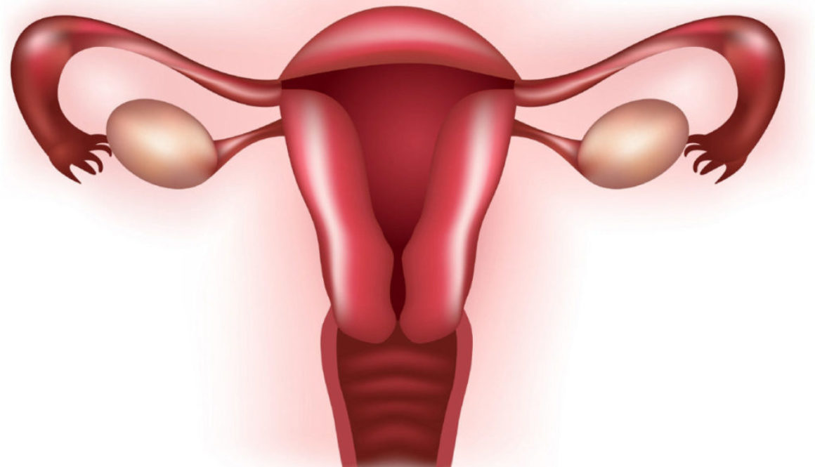 ¿Qué es la flora vaginal? ¿Afecta a la fertilidad?