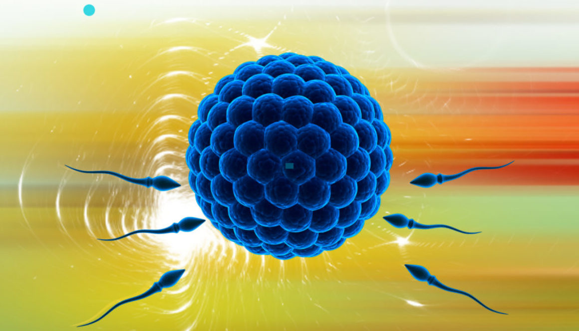 ¿Qué papel juega el sistema inmune en la fertilidad?