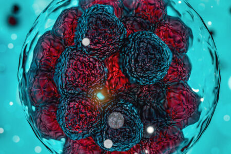 ¿Qué son los embriones tipo A?