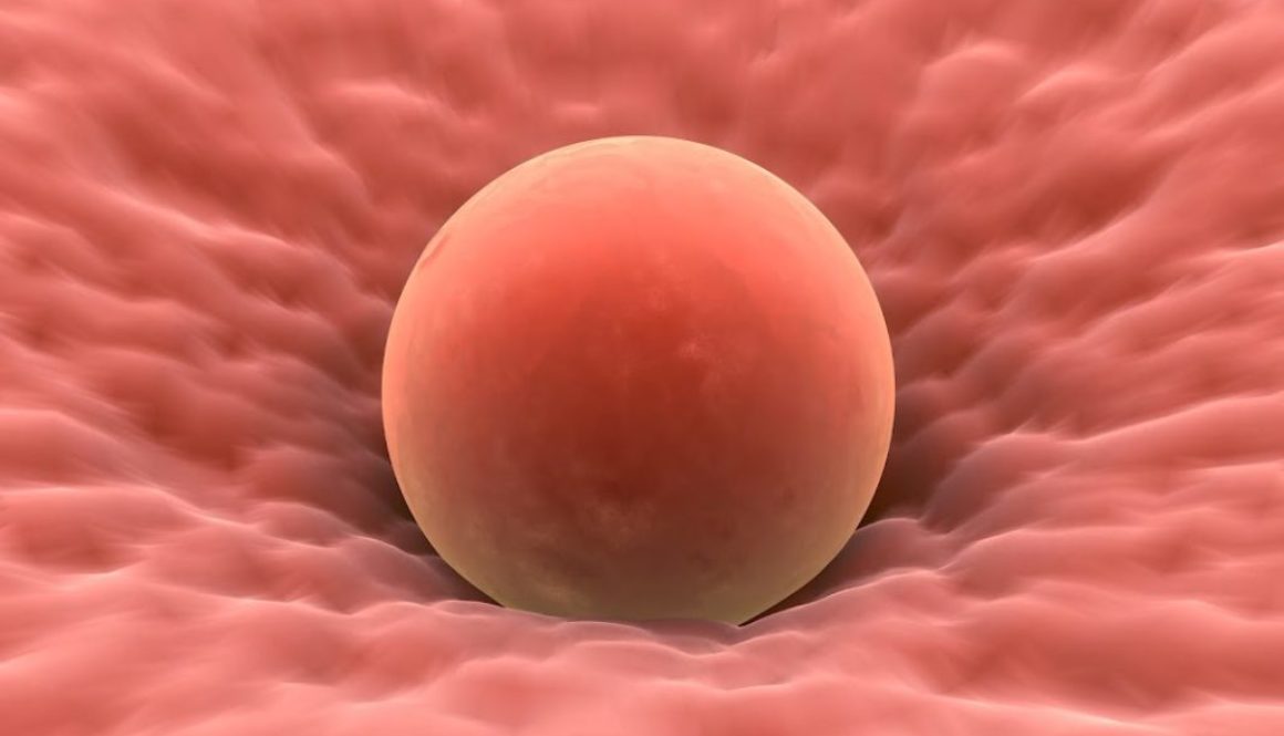 ¿Se está haciendo fecundación in vitro? Olvide las patatas fritas