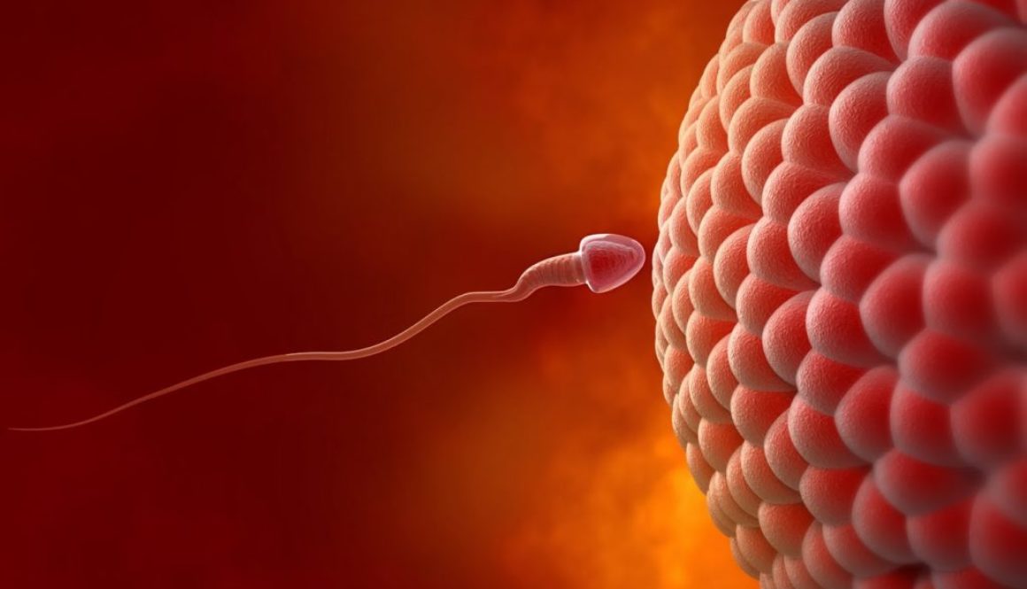 ¿Tengo derecho al tratamiento de fertilidad?