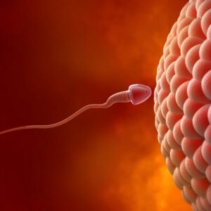 ¿Tengo derecho al tratamiento de fertilidad?