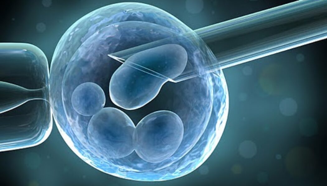 ¿ Los embriones de mellizos se ayudan a sobrevivir en la FIV?