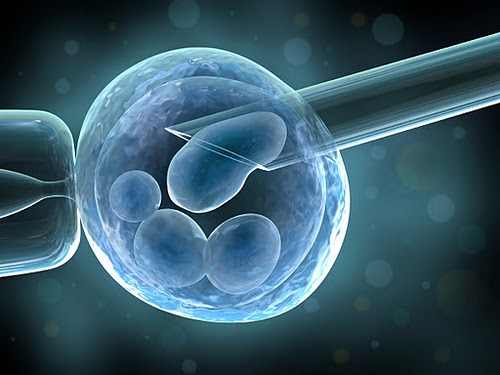 ¿ Los embriones de mellizos se ayudan a sobrevivir en la FIV?