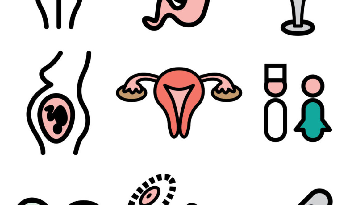 CREA REALIZA UN CURSO DE FORMACION EN REPRODUCCION ASISTIDA PARA GINECOLOGOS