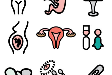 CREA REALIZA UN CURSO DE FORMACION EN REPRODUCCION ASISTIDA PARA GINECOLOGOS