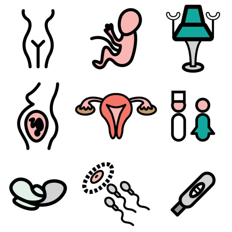 CREA REALIZA UN CURSO DE FORMACION EN REPRODUCCION ASISTIDA PARA GINECOLOGOS