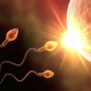 Cómo calcular mis días fértiles